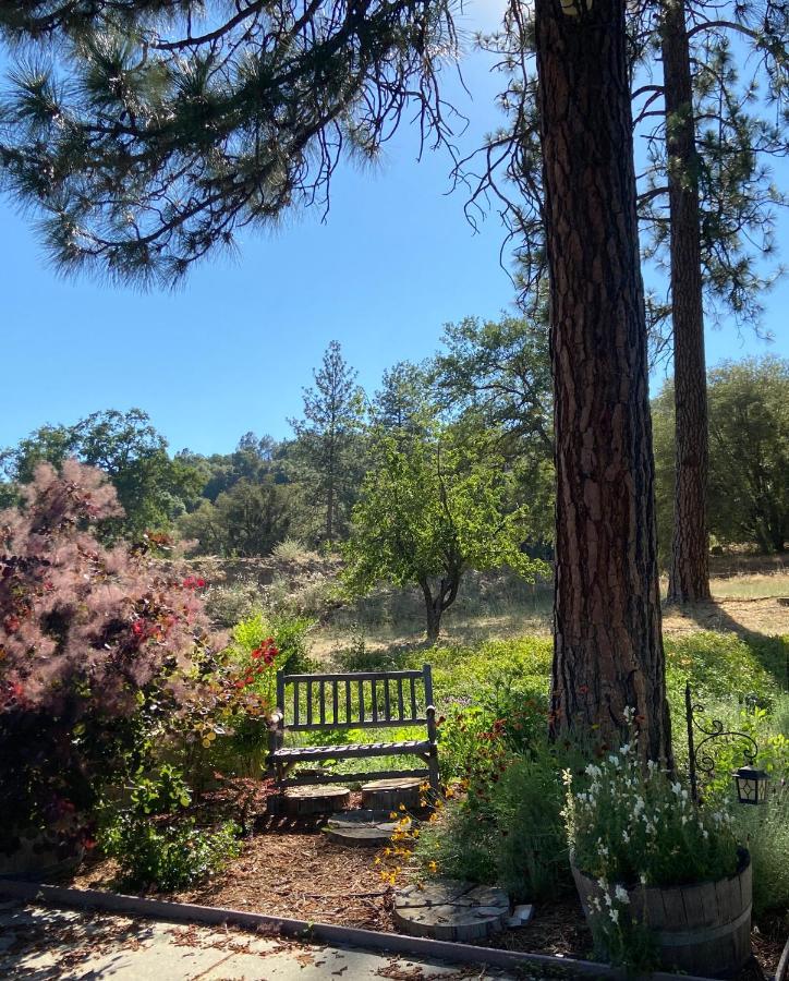 Kin House Guest Suite Oakhurst Εξωτερικό φωτογραφία